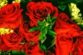 /album/fotogaleria/img1-jpg/