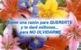 /album/fotogaleria/mensajes-de-amor-jpg/