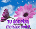 /album/fotogaleria/a138465189248kng-gif/